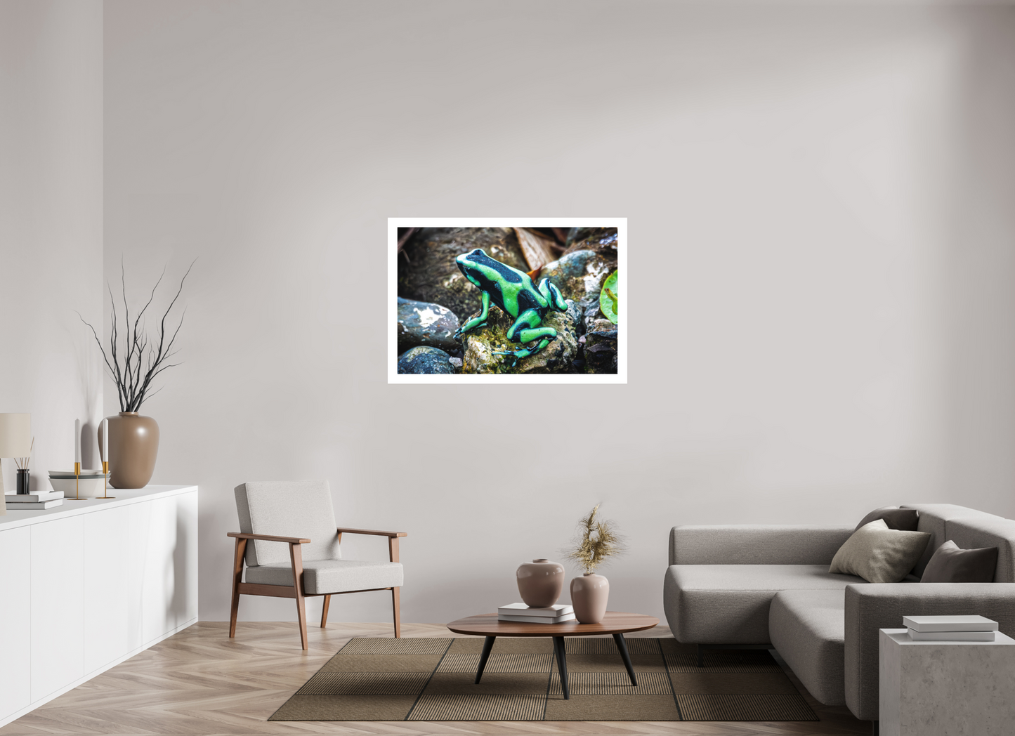 Poison Dart Frog