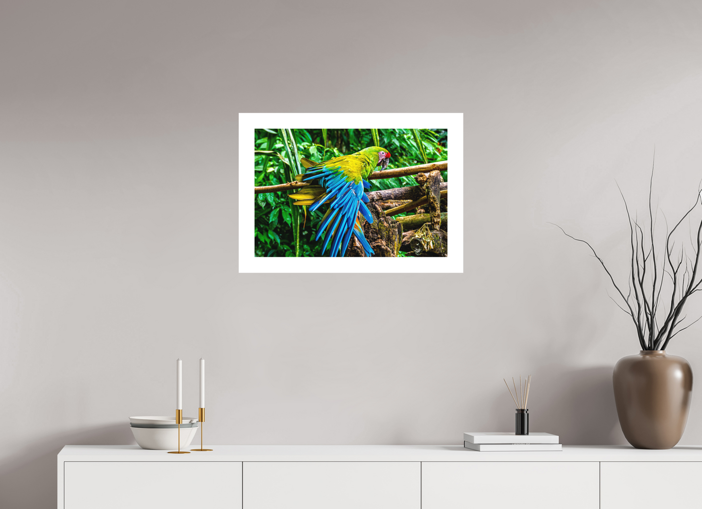 Macaw Wing