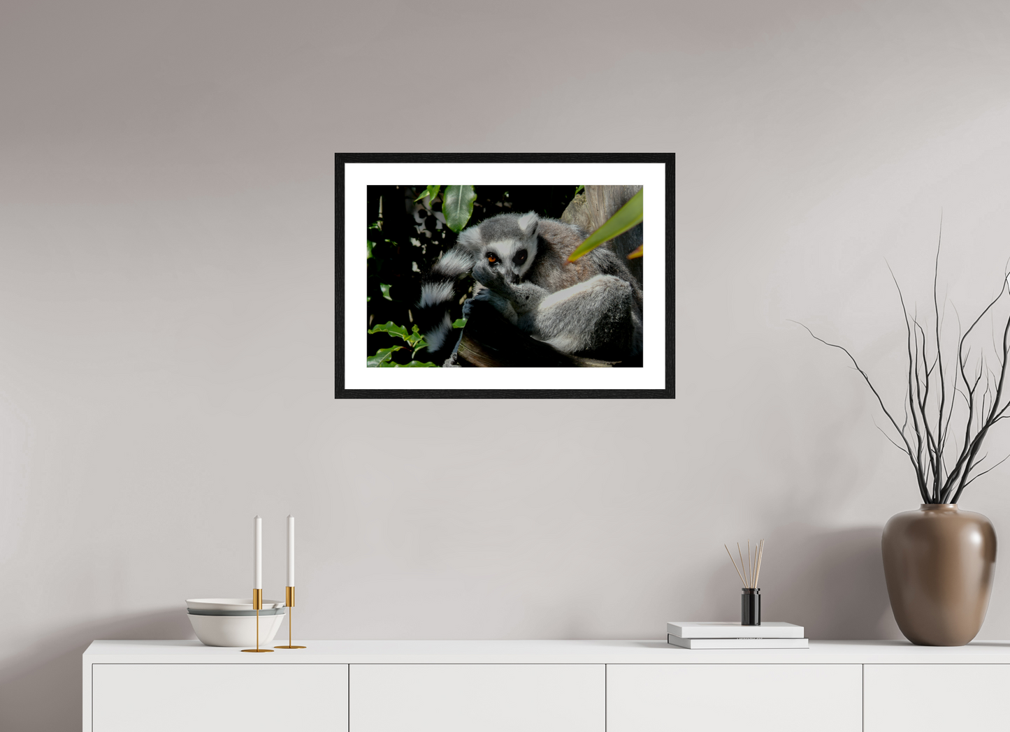 Ring-Tailed Lemur