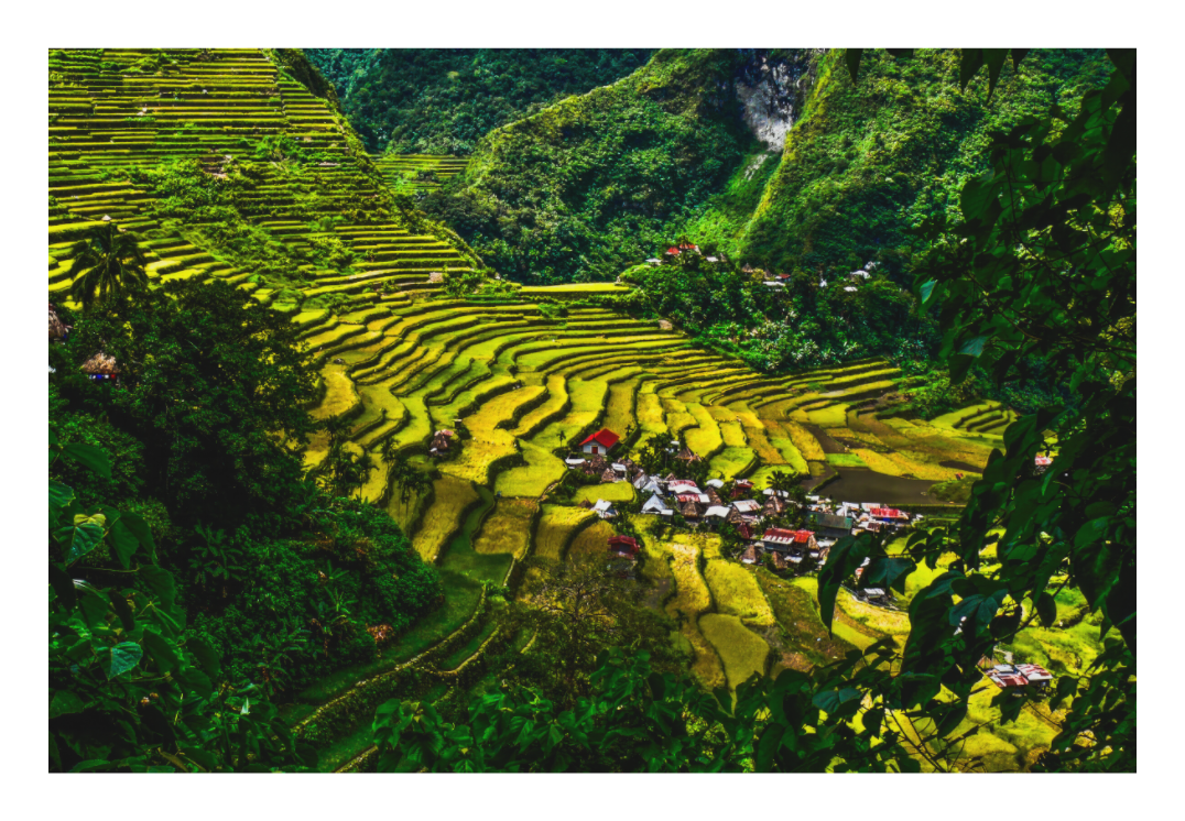 Batad Rice Terraces