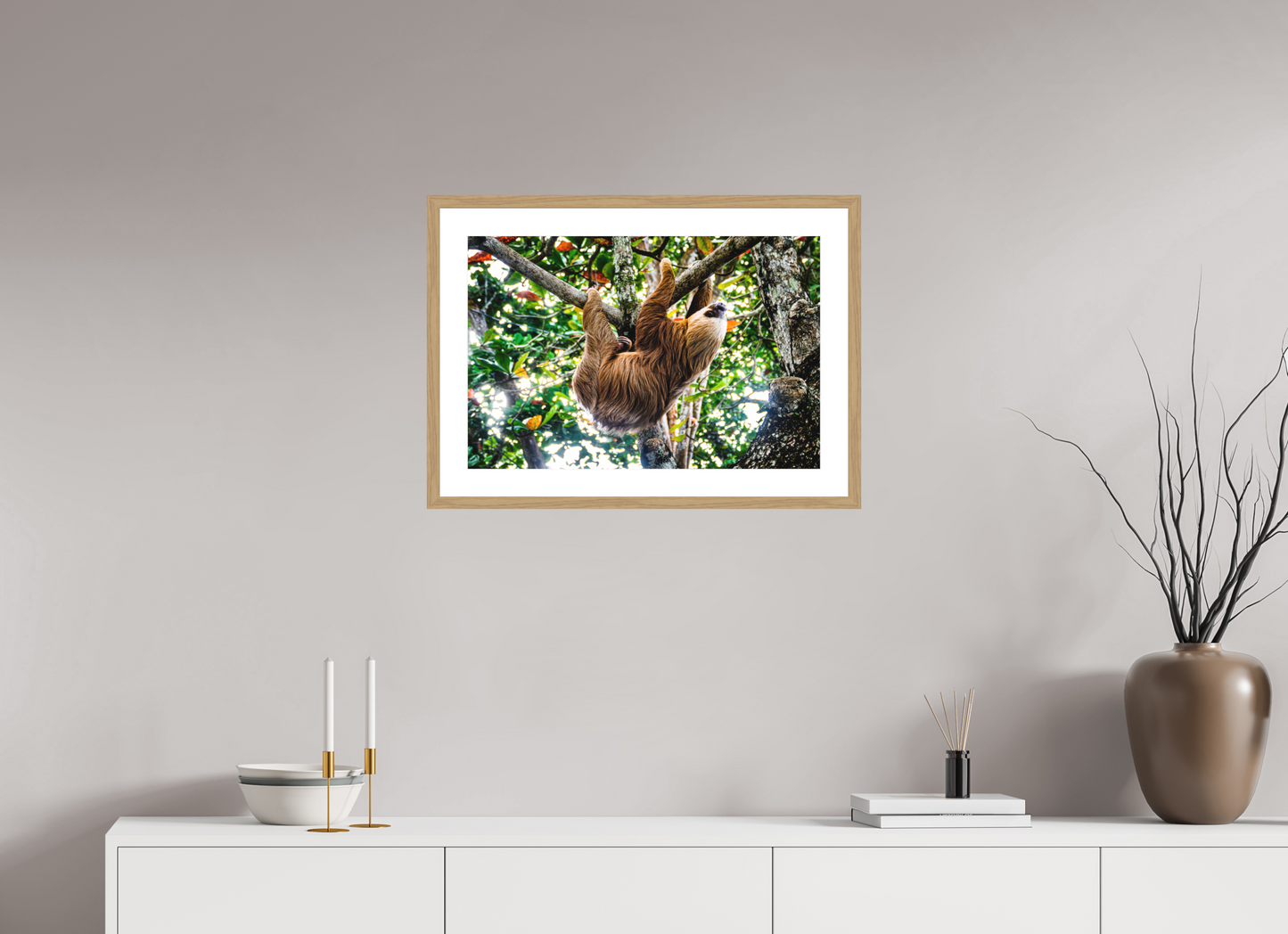 Two-Toed Sloth