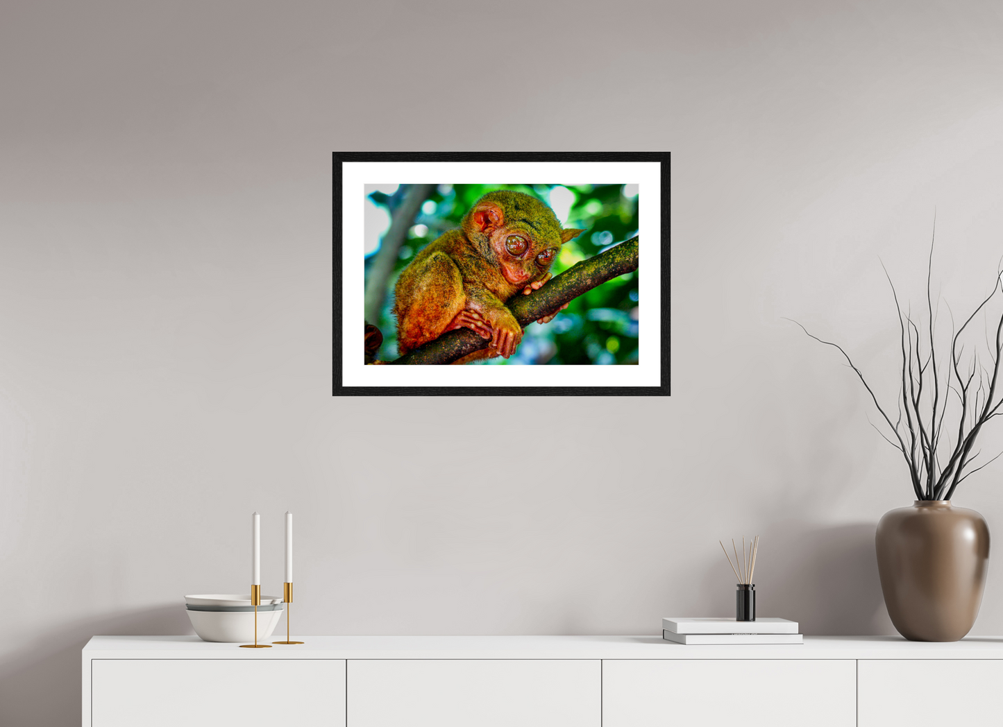 Philippine Tarsier