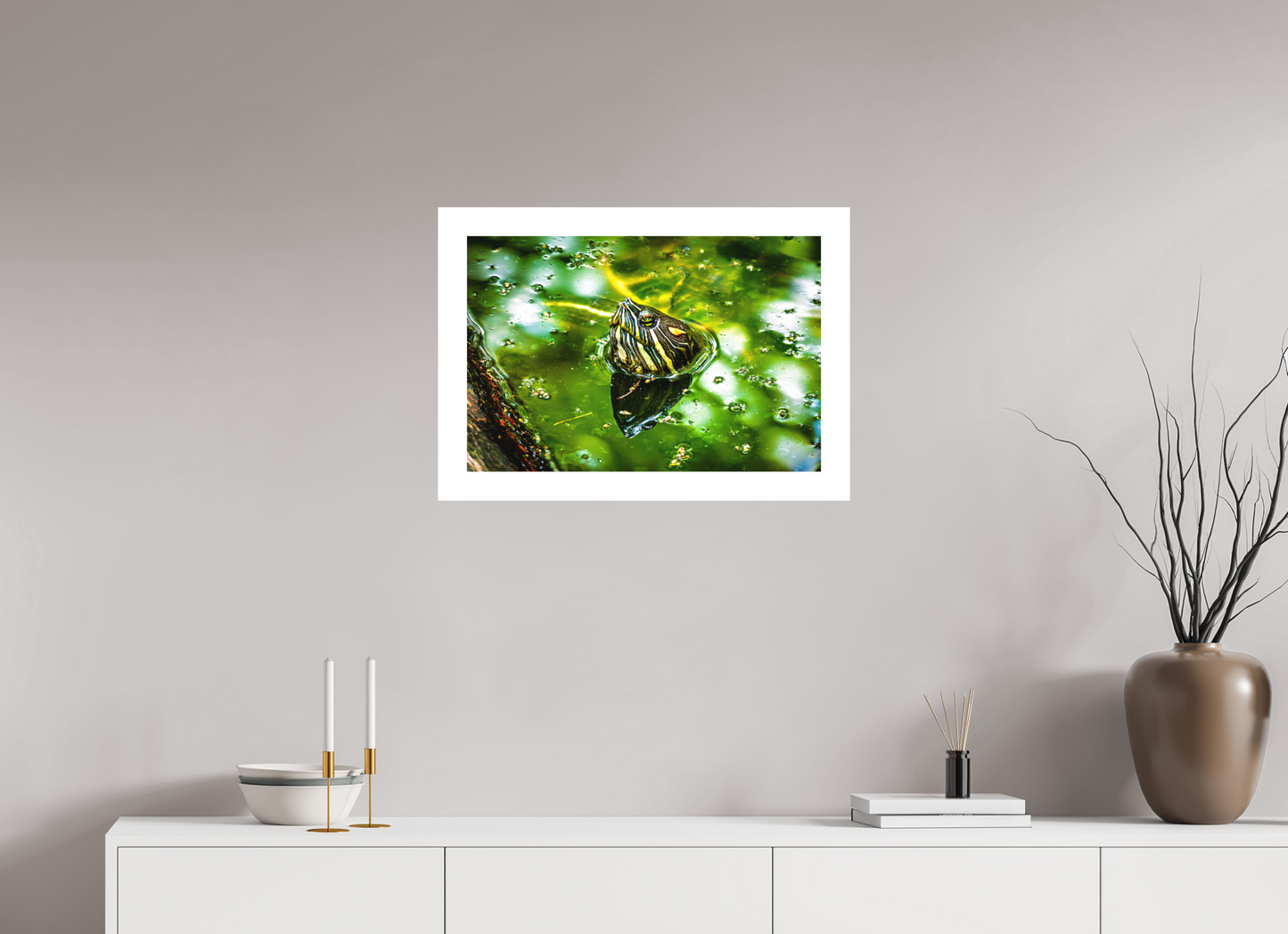 Red Eared Slider Turtle