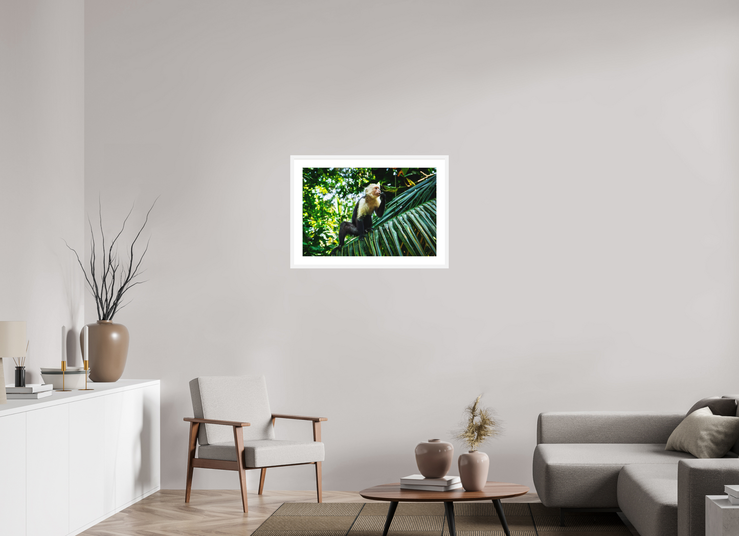 Capuchin Monkey