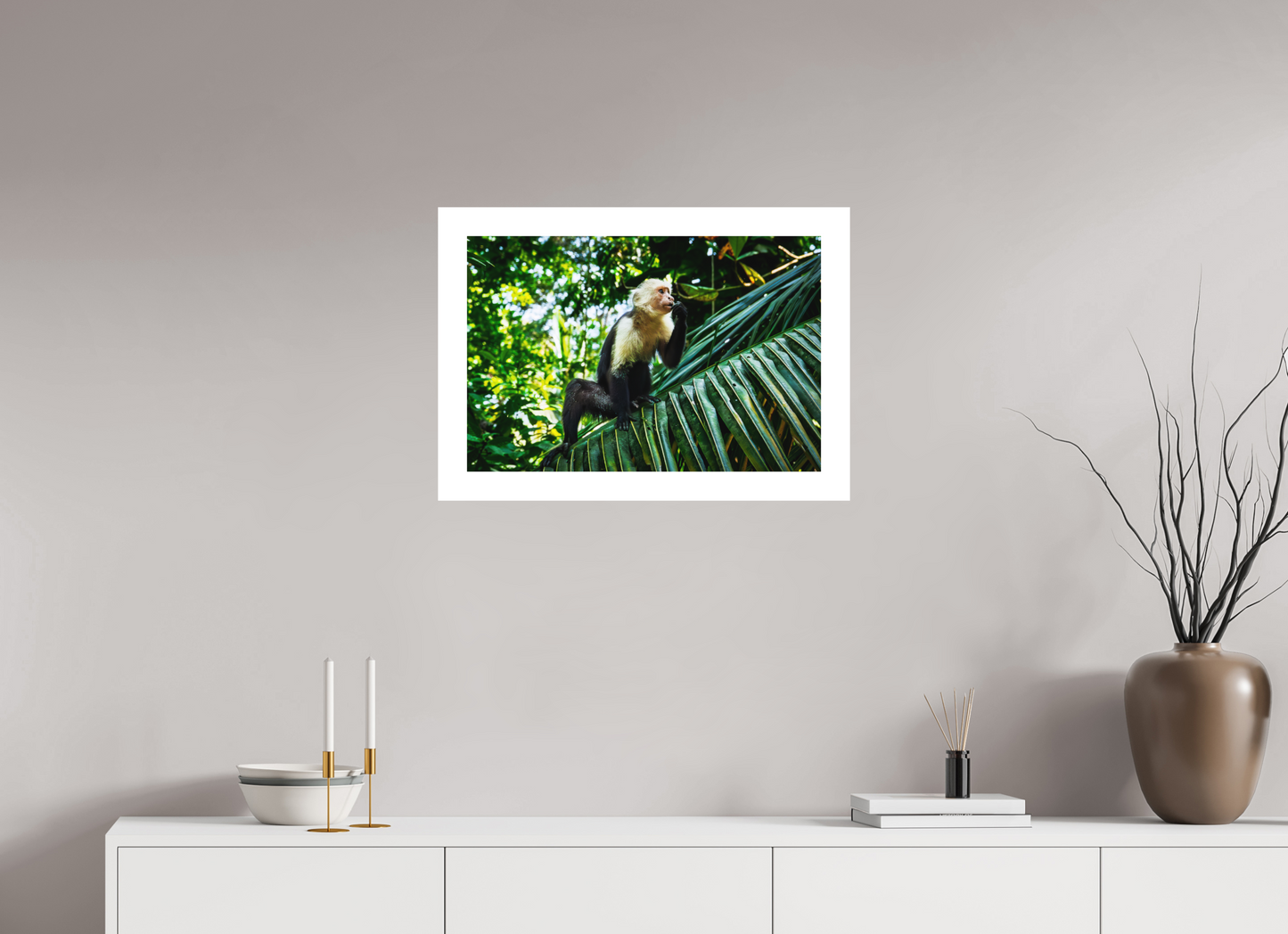 Capuchin Monkey