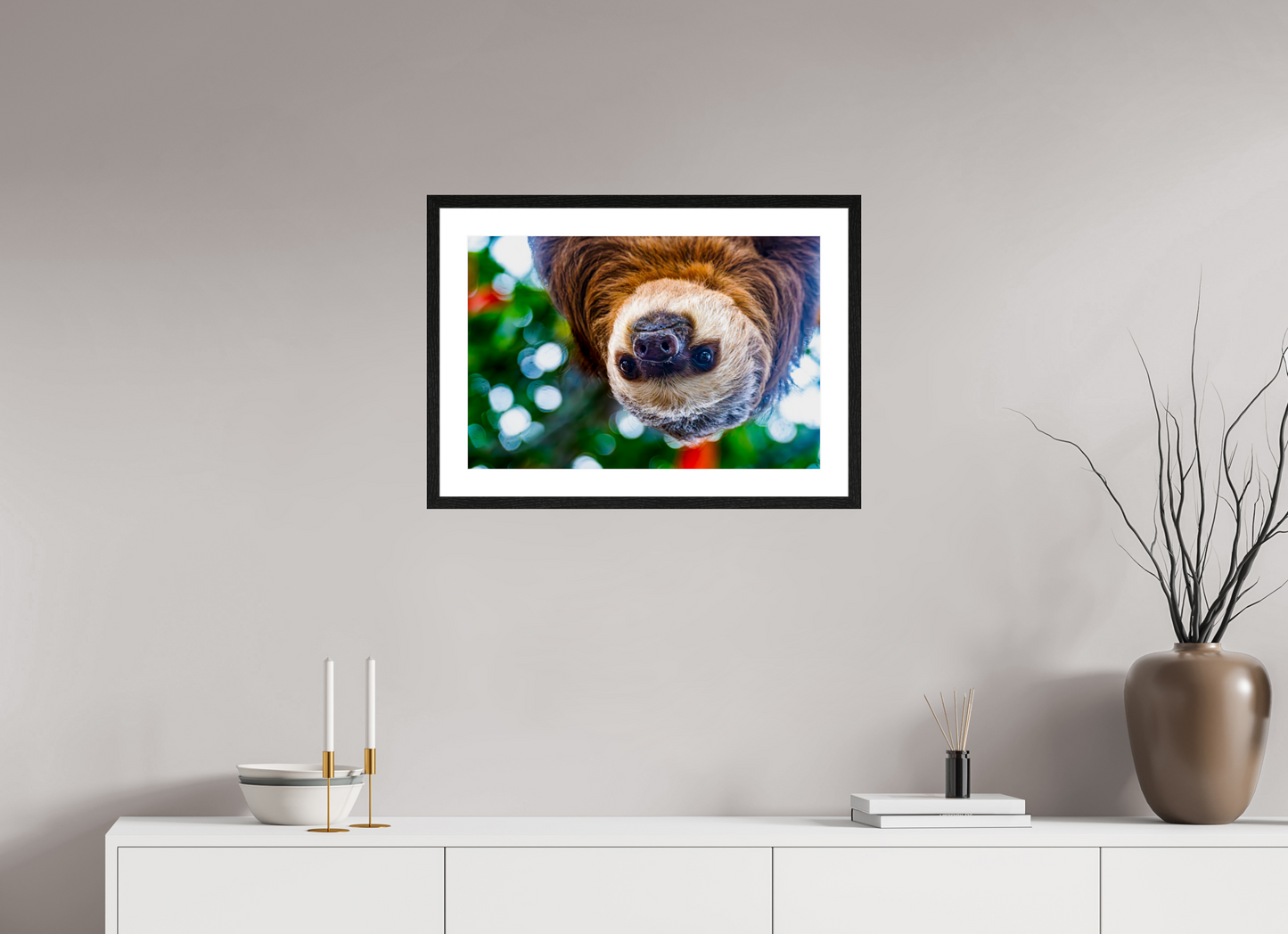 Hanging Two-Toed Sloth