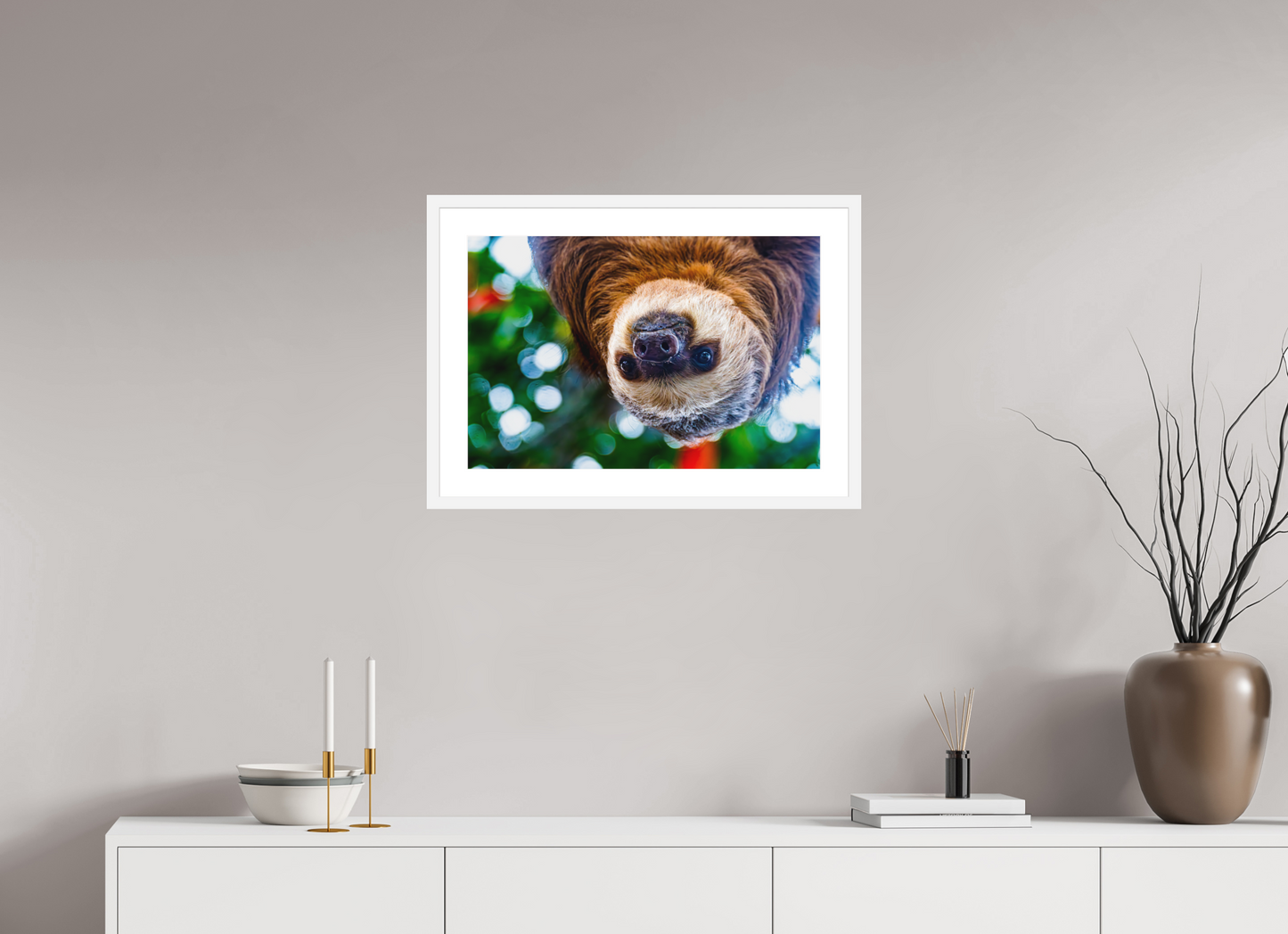 Hanging Two-Toed Sloth