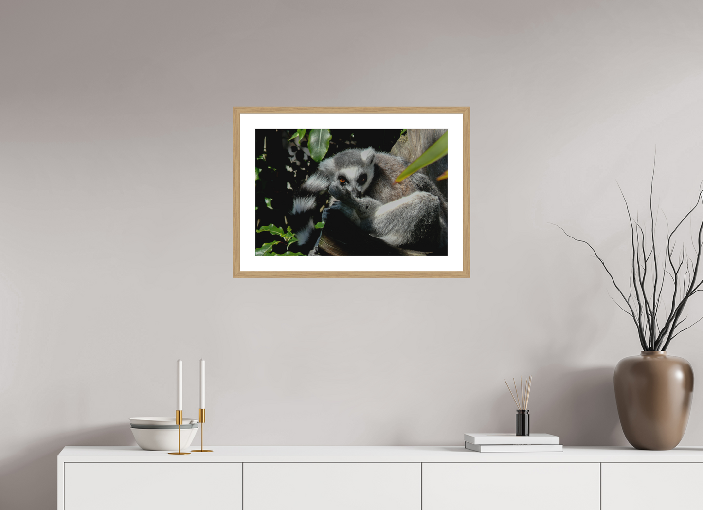 Ring-Tailed Lemur