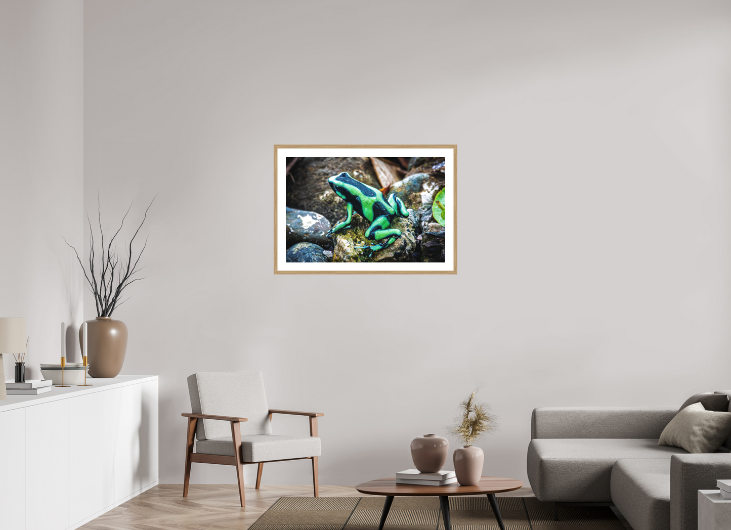 Poison Dart Frog