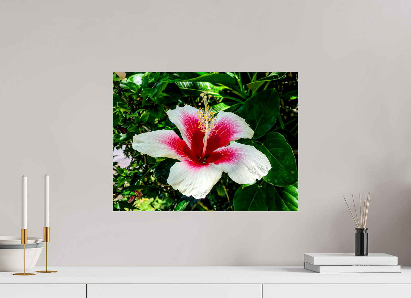 Hawai'ian Hibiscus