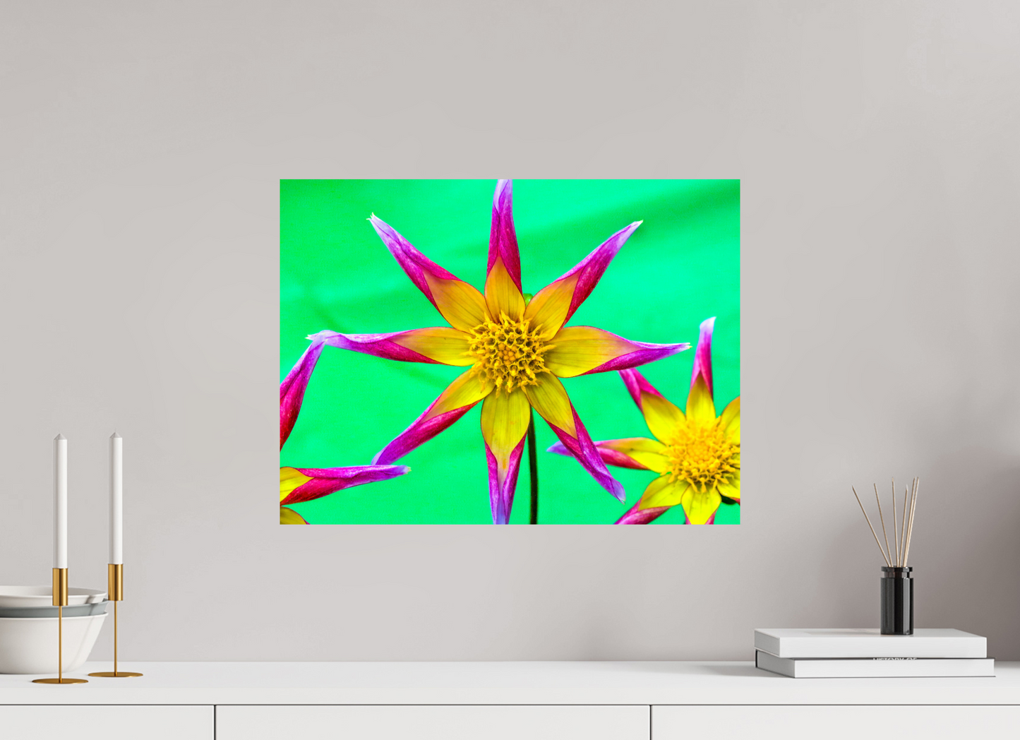 Purple & Yellow Dahlia