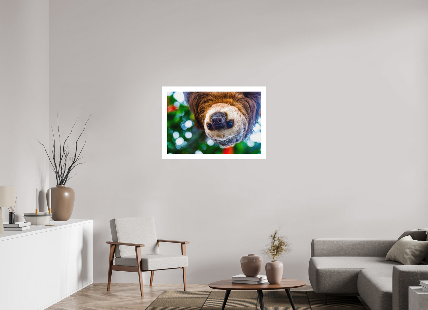 Hanging Two-Toed Sloth