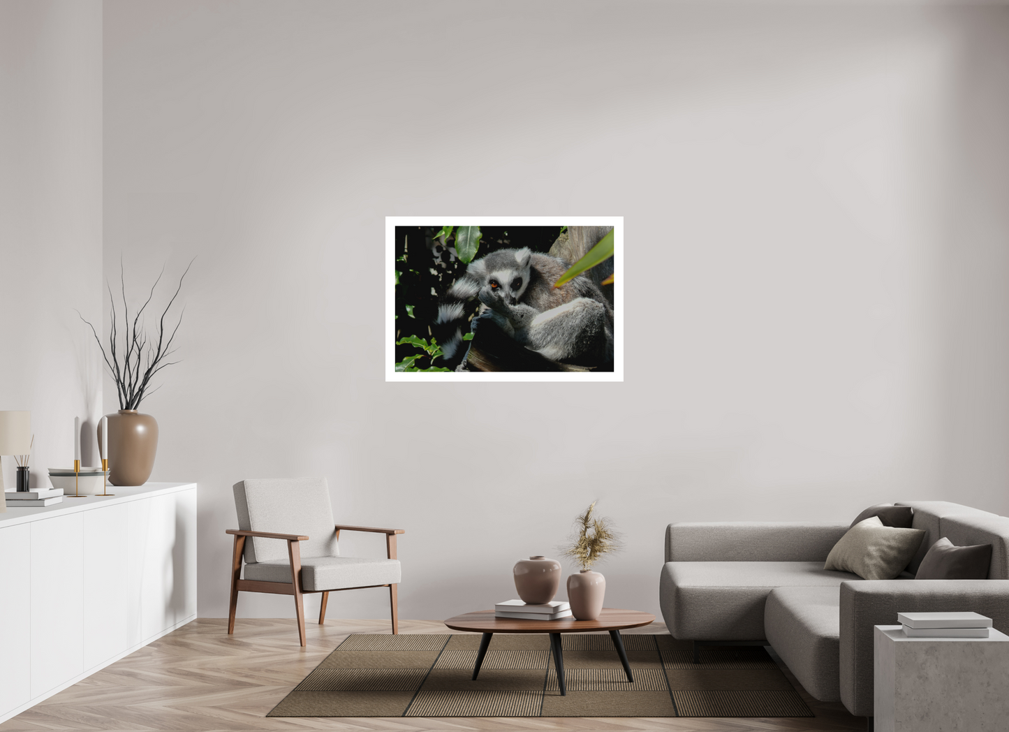 Ring-Tailed Lemur