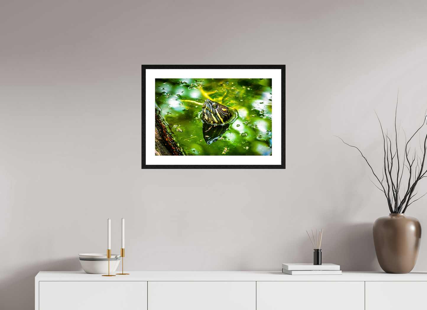 Red Eared Slider Turtle