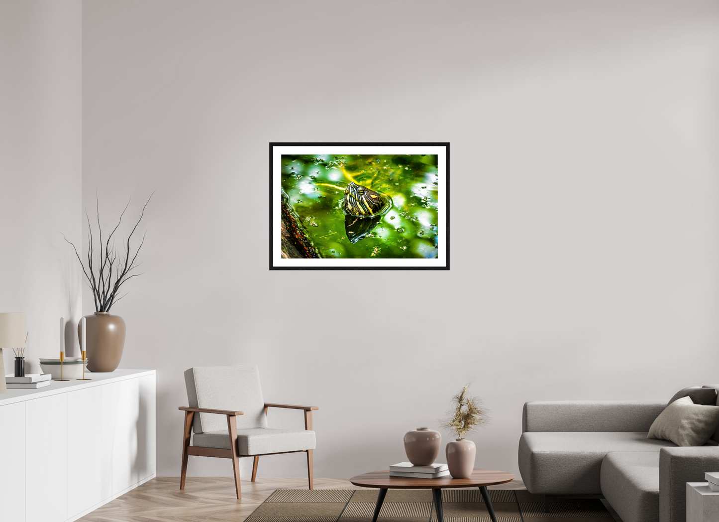 Red Eared Slider Turtle