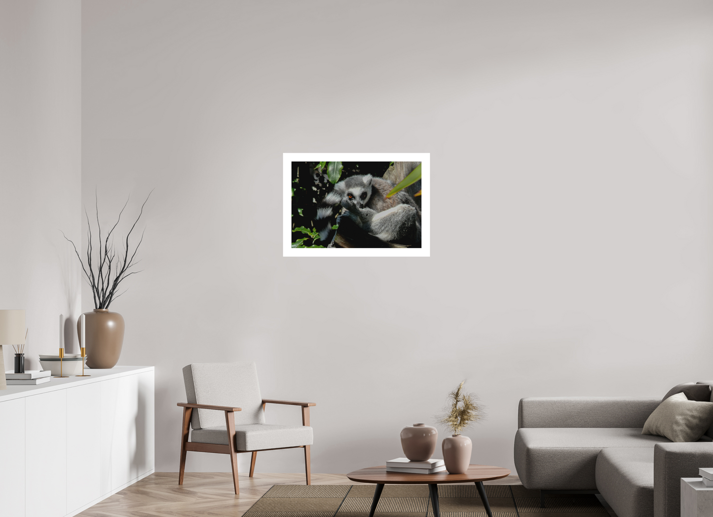 Ring-Tailed Lemur