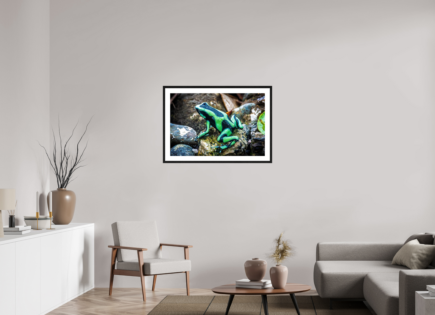 Poison Dart Frog