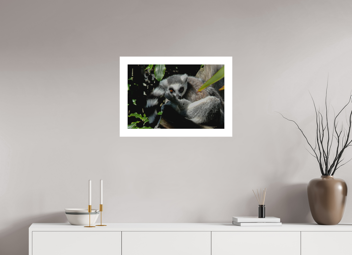 Ring-Tailed Lemur