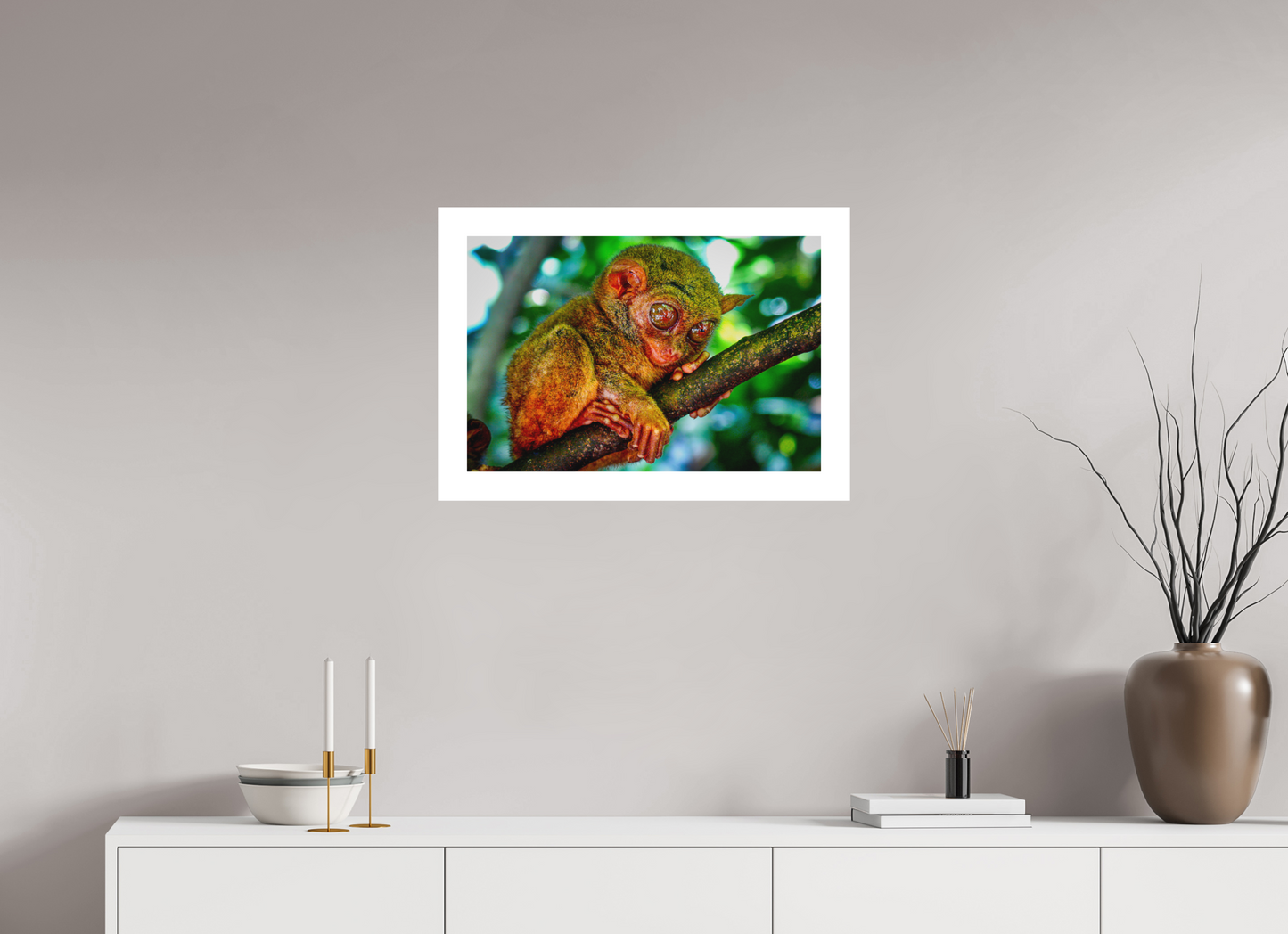 Philippine Tarsier