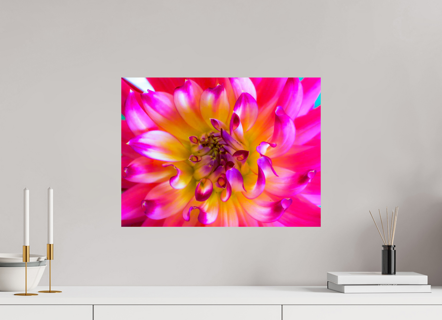 Pink Dahlia