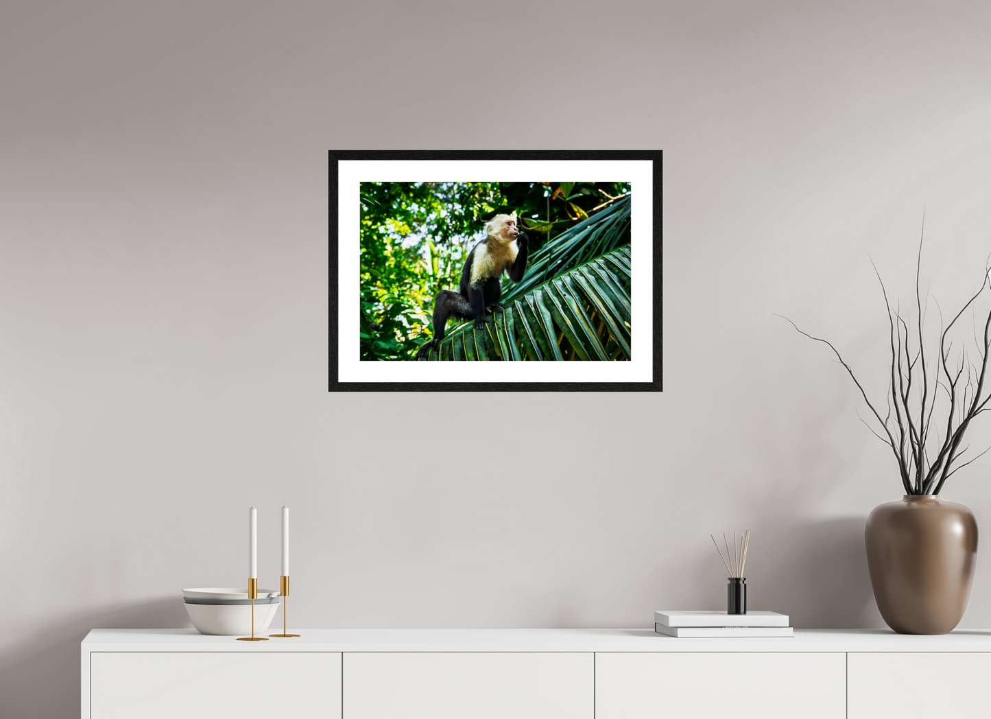 Capuchin Monkey