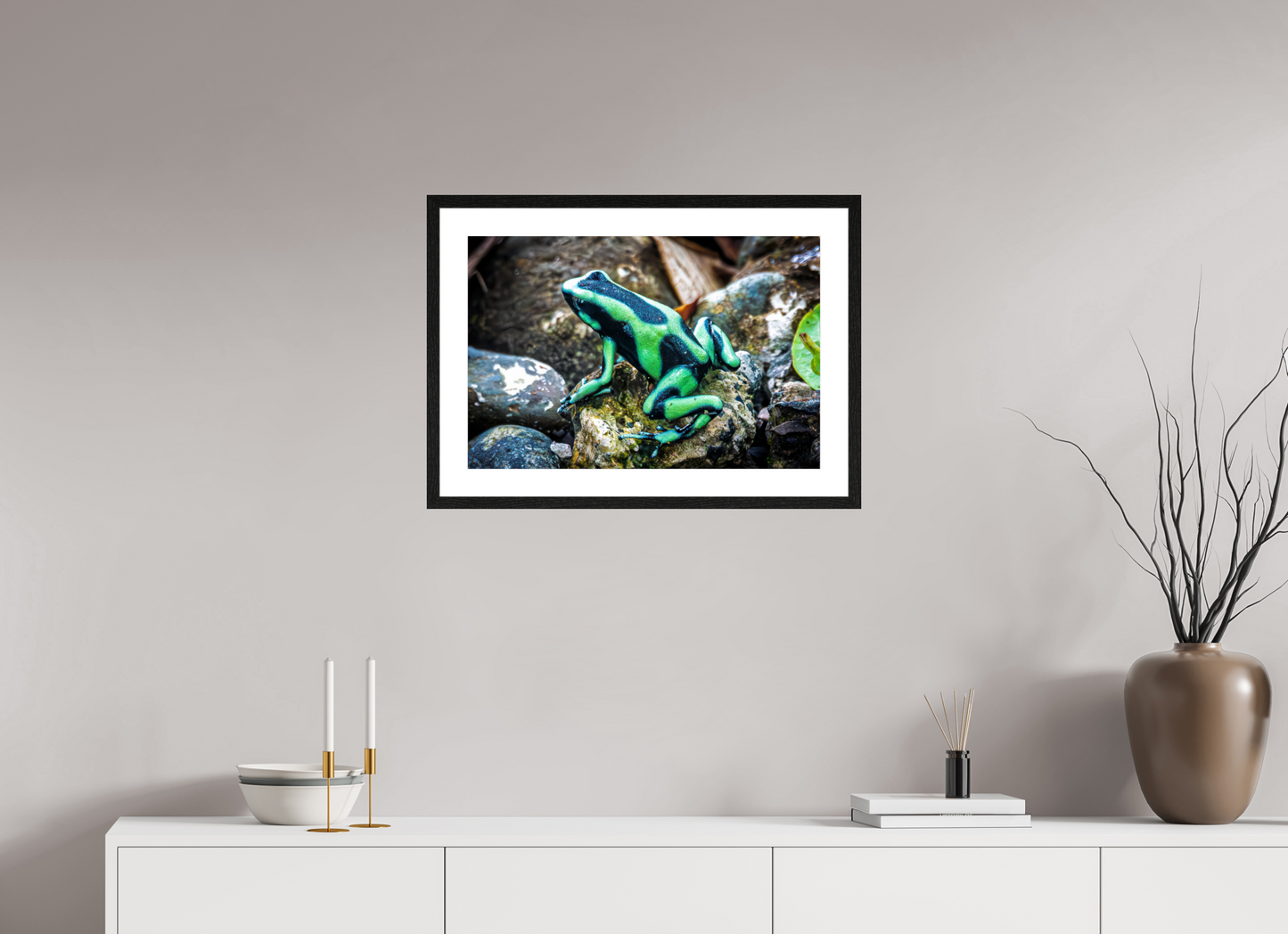 Poison Dart Frog