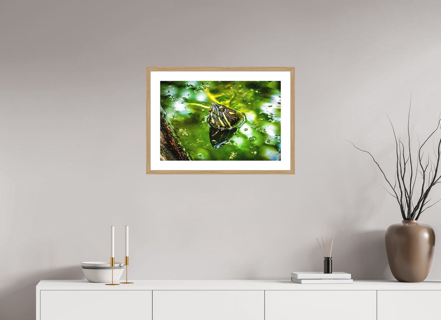 Red Eared Slider Turtle