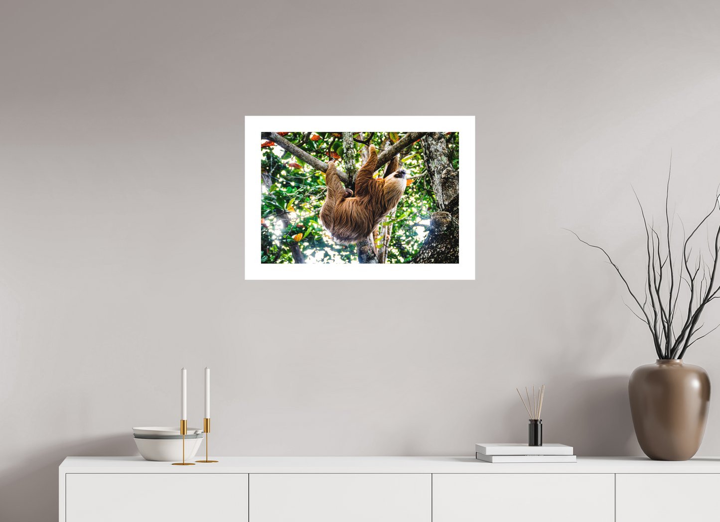 Two-Toed Sloth