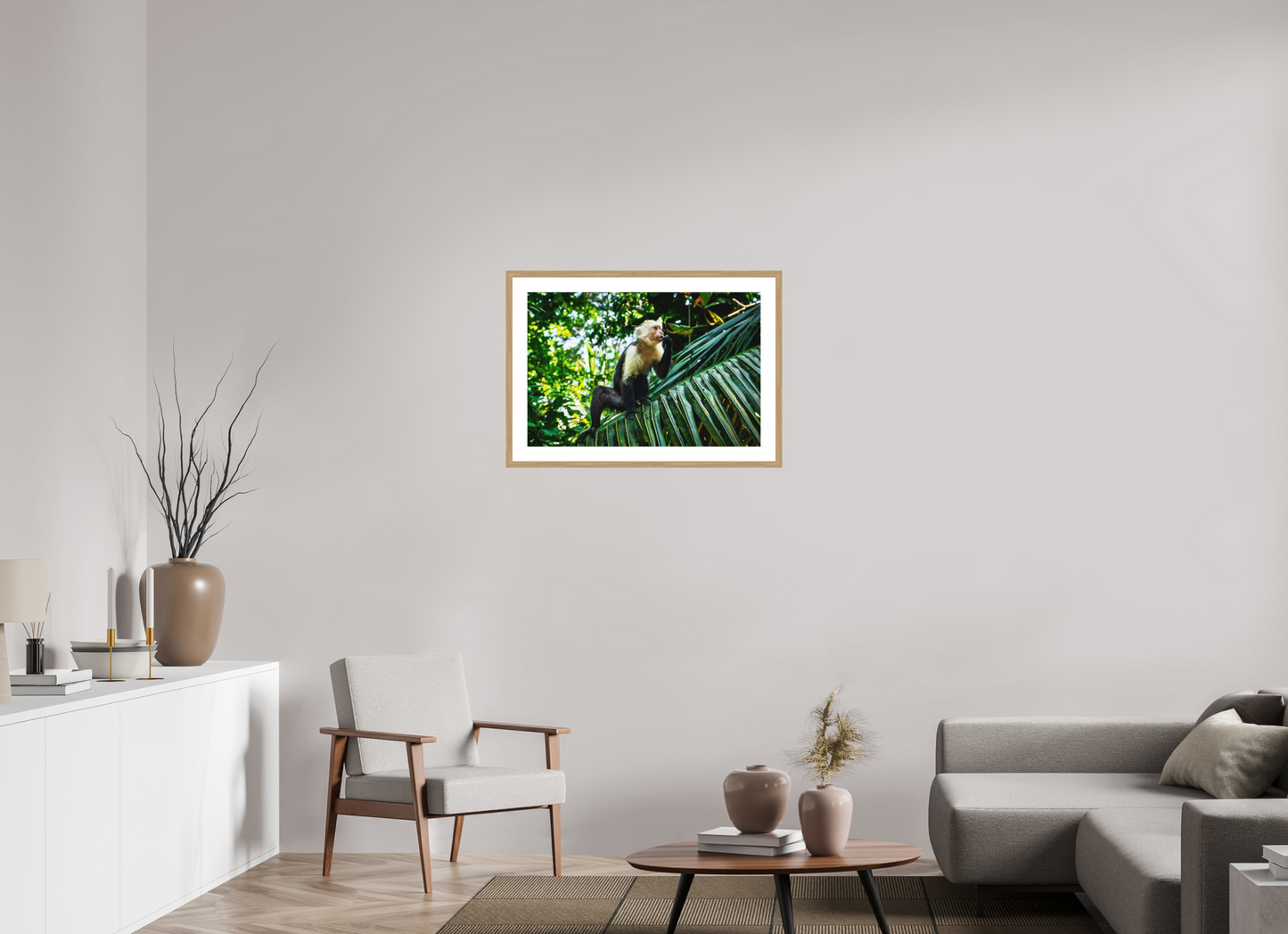 Capuchin Monkey