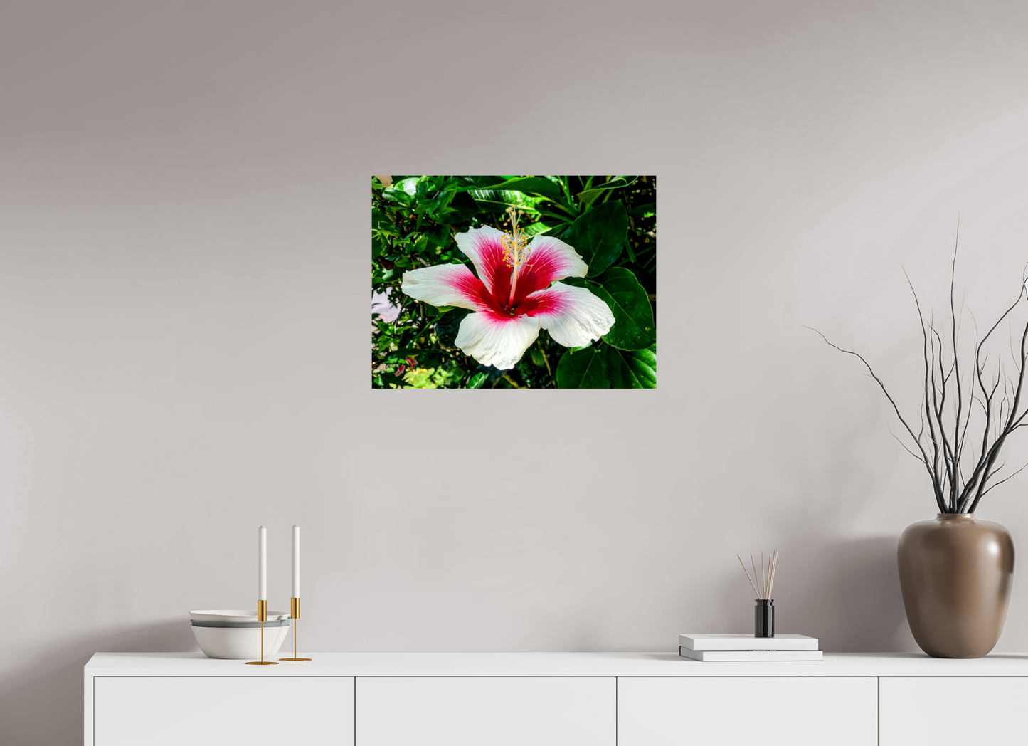 Hawai'ian Hibiscus