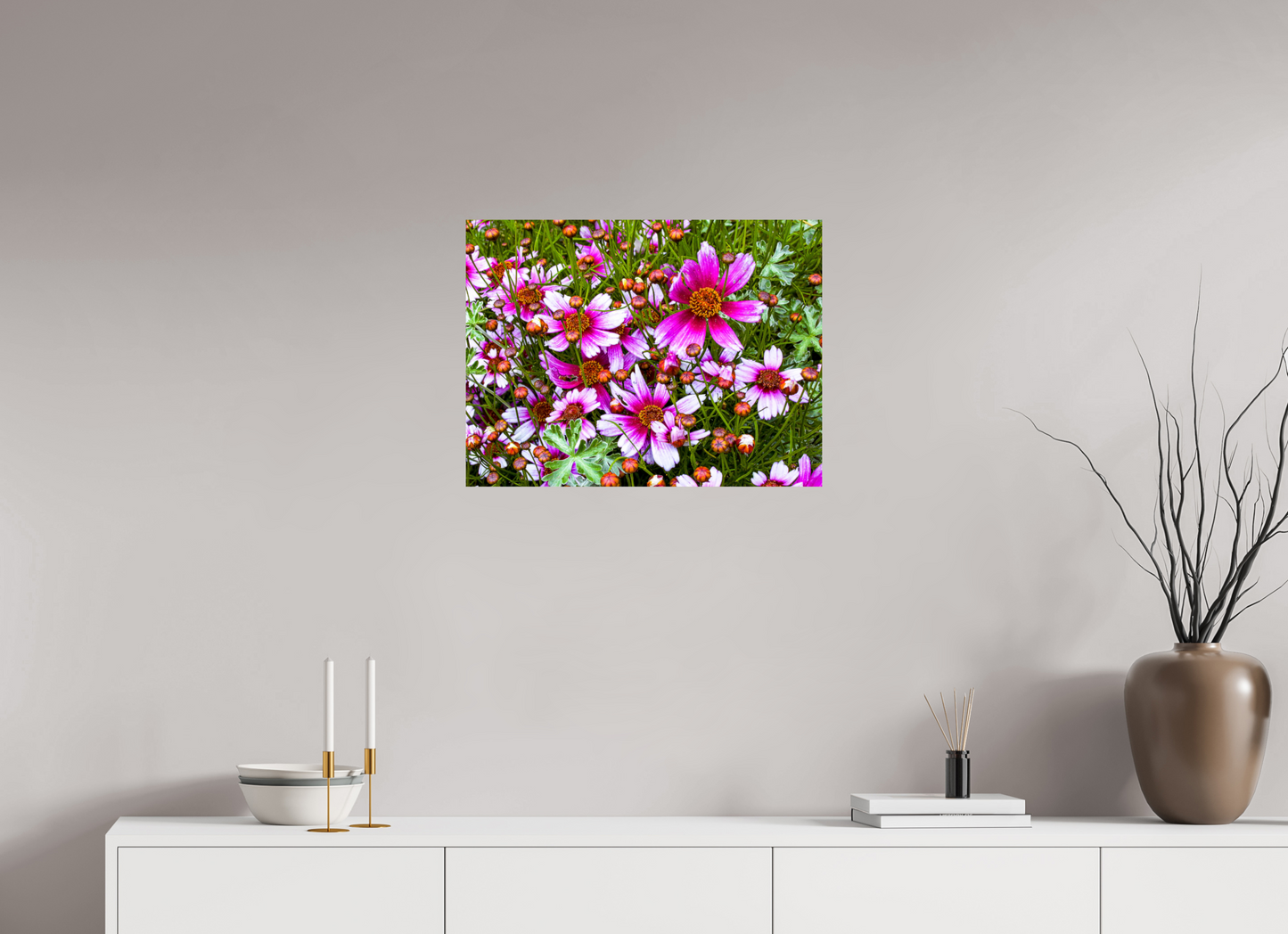 Mexican Aster