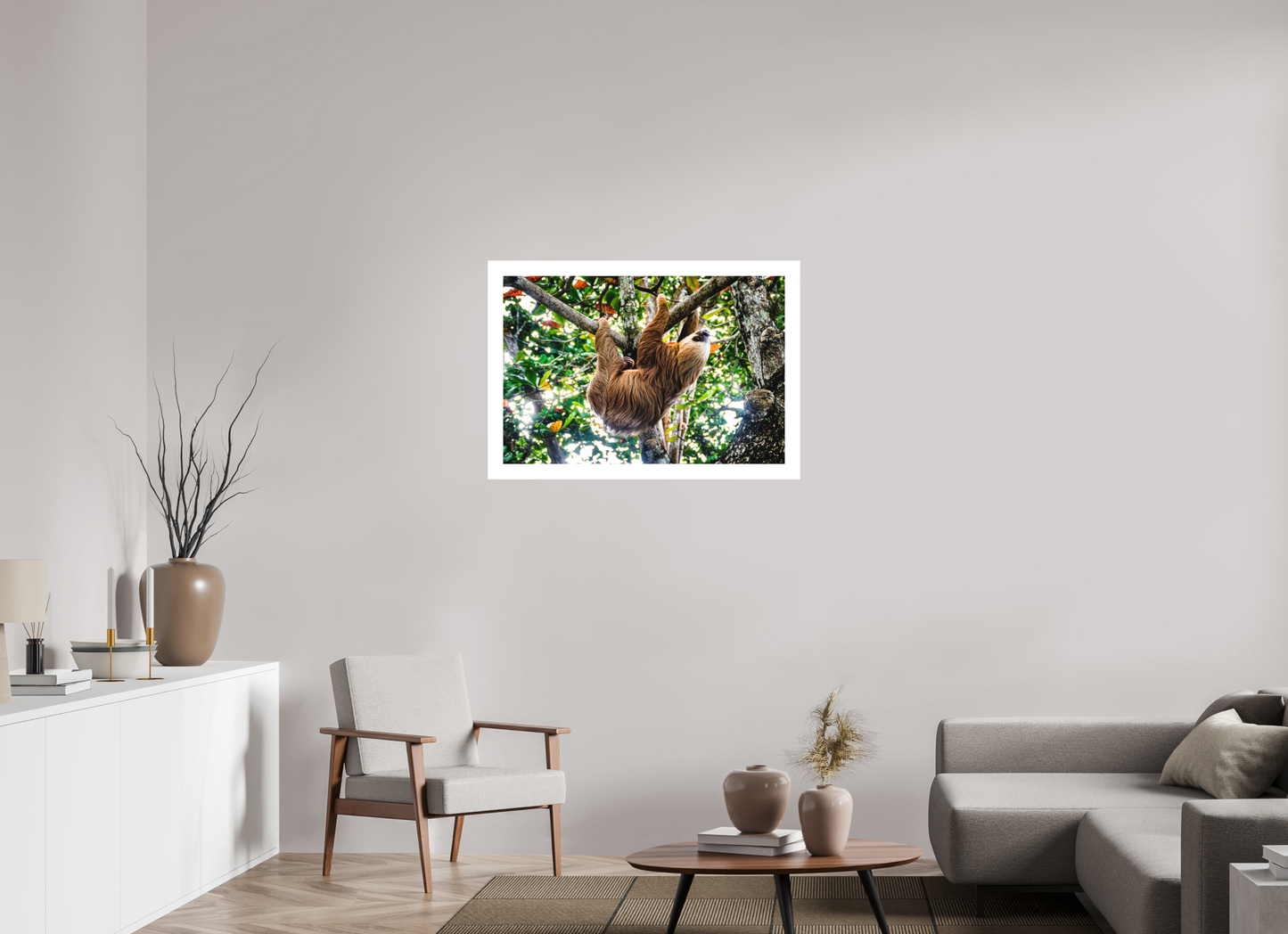 Two-Toed Sloth