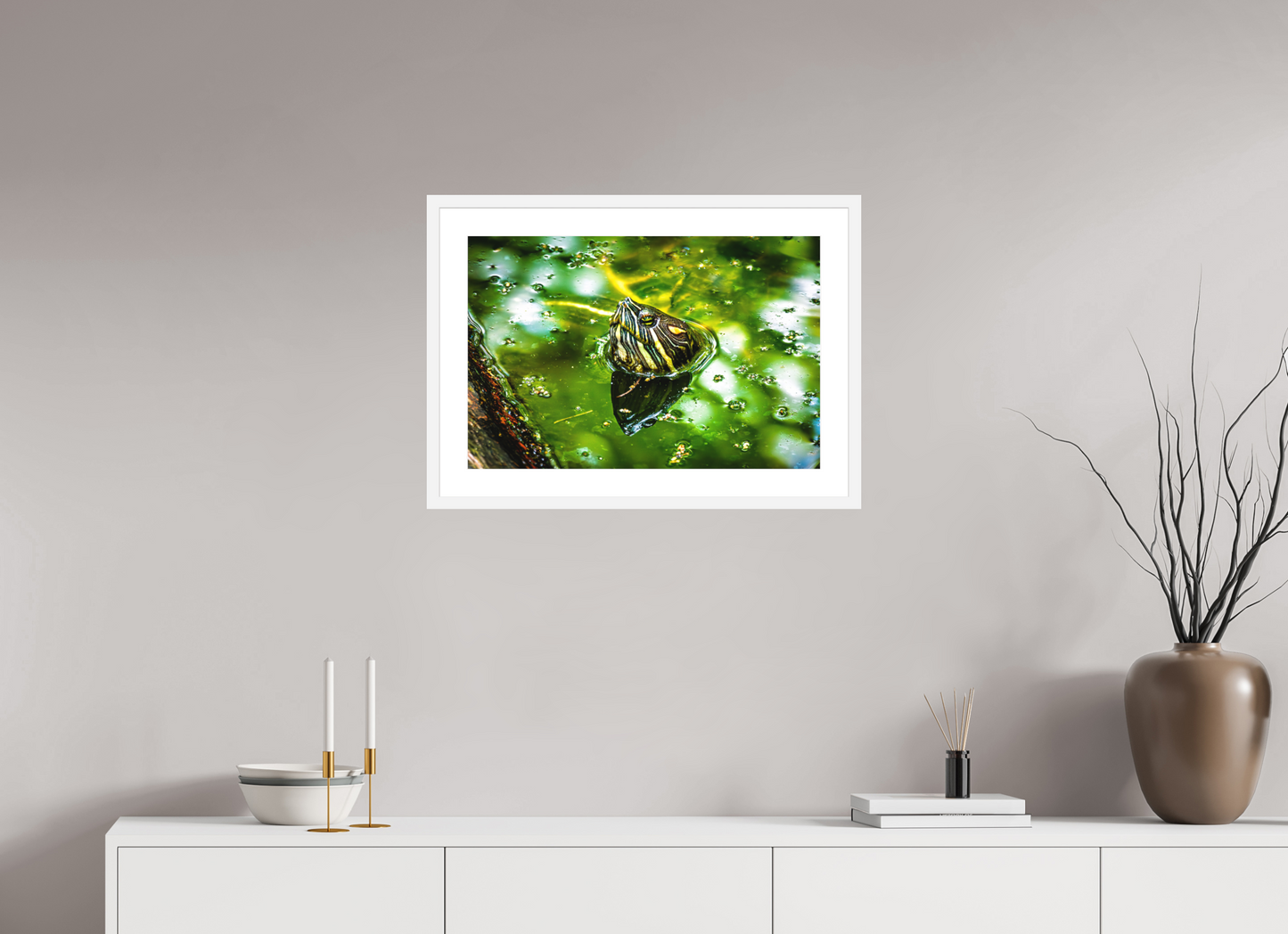 Red Eared Slider Turtle
