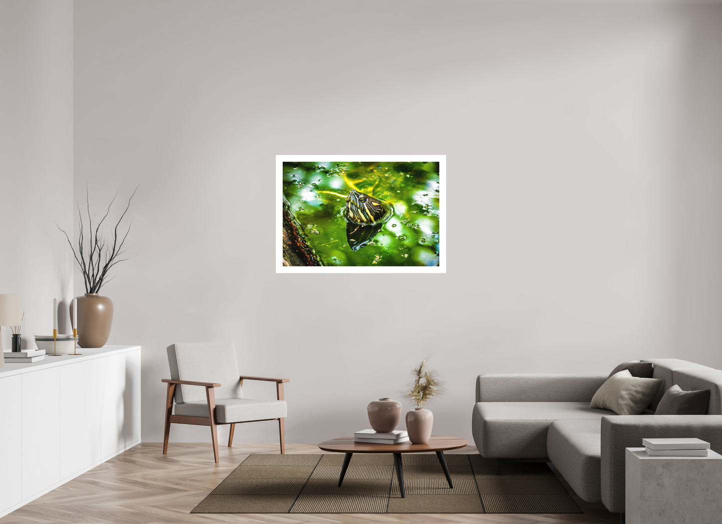 Red Eared Slider Turtle