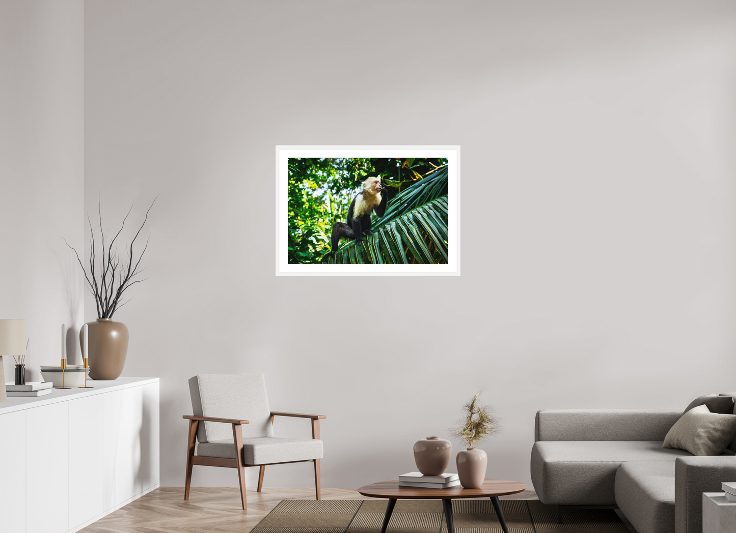 Capuchin Monkey