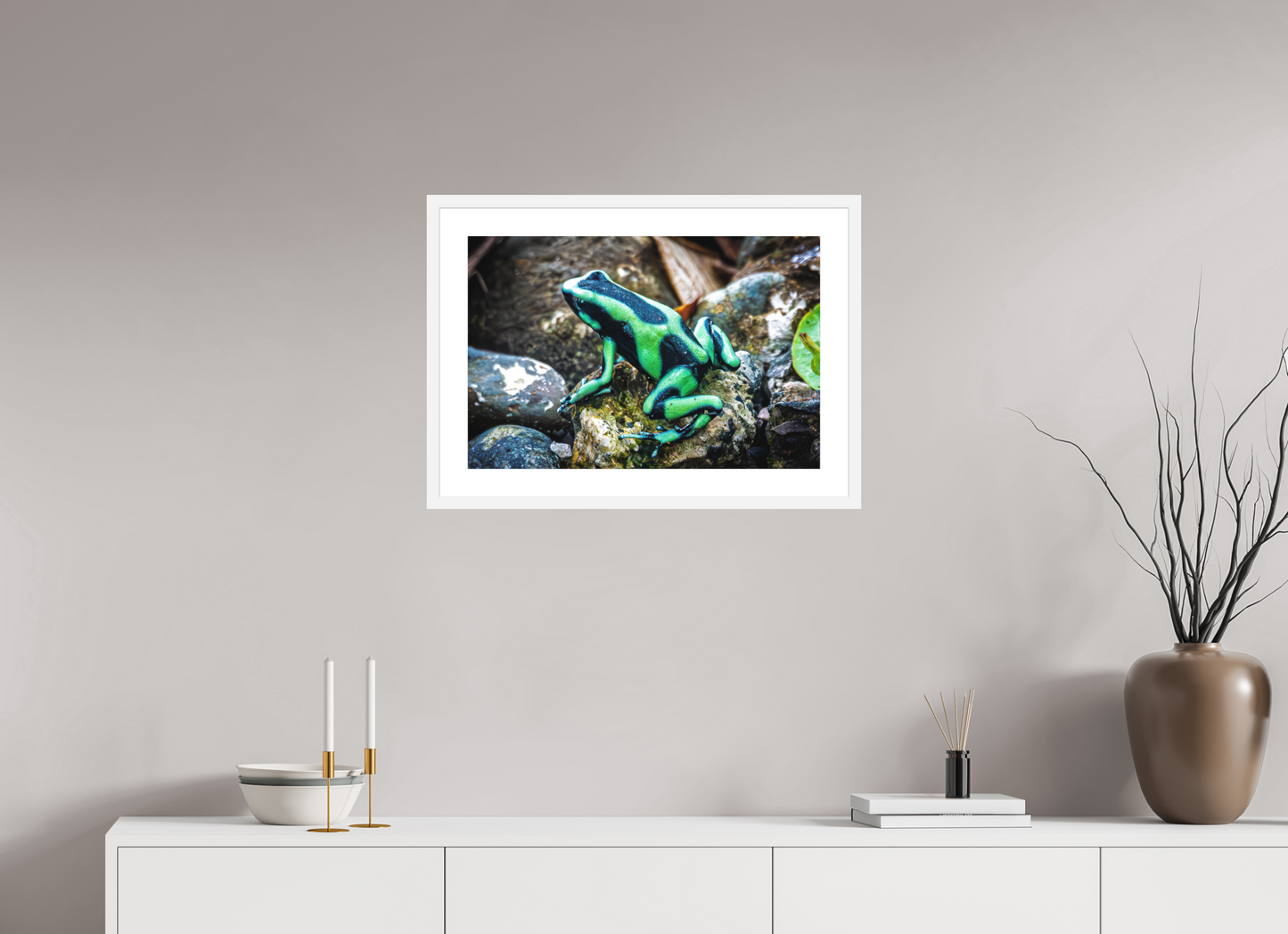 Poison Dart Frog