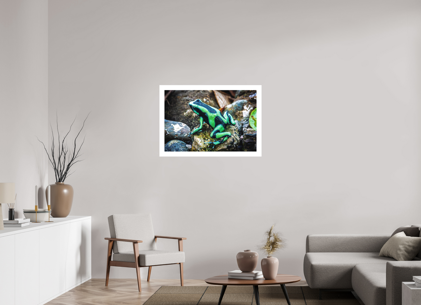 Poison Dart Frog
