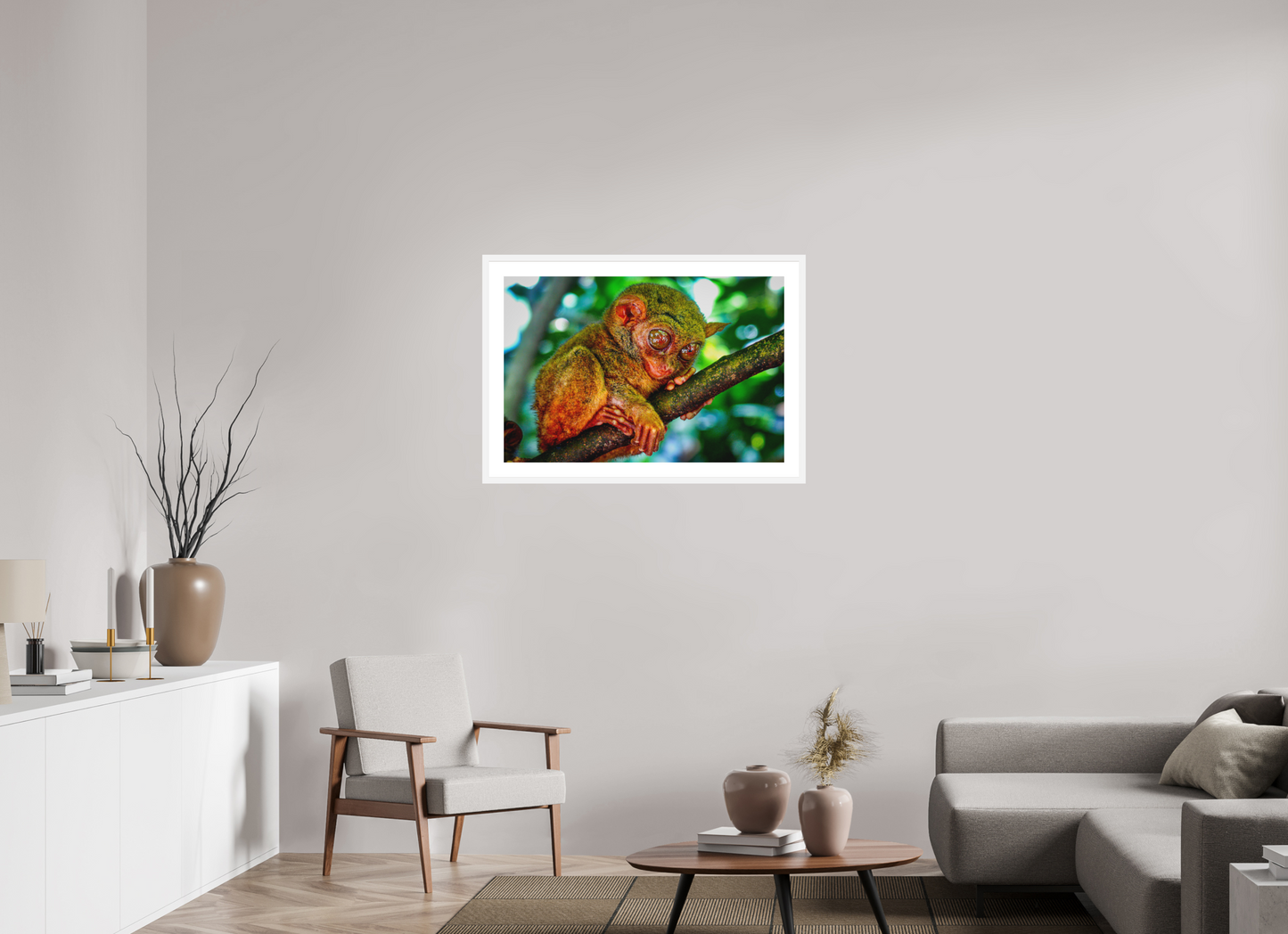 Philippine Tarsier