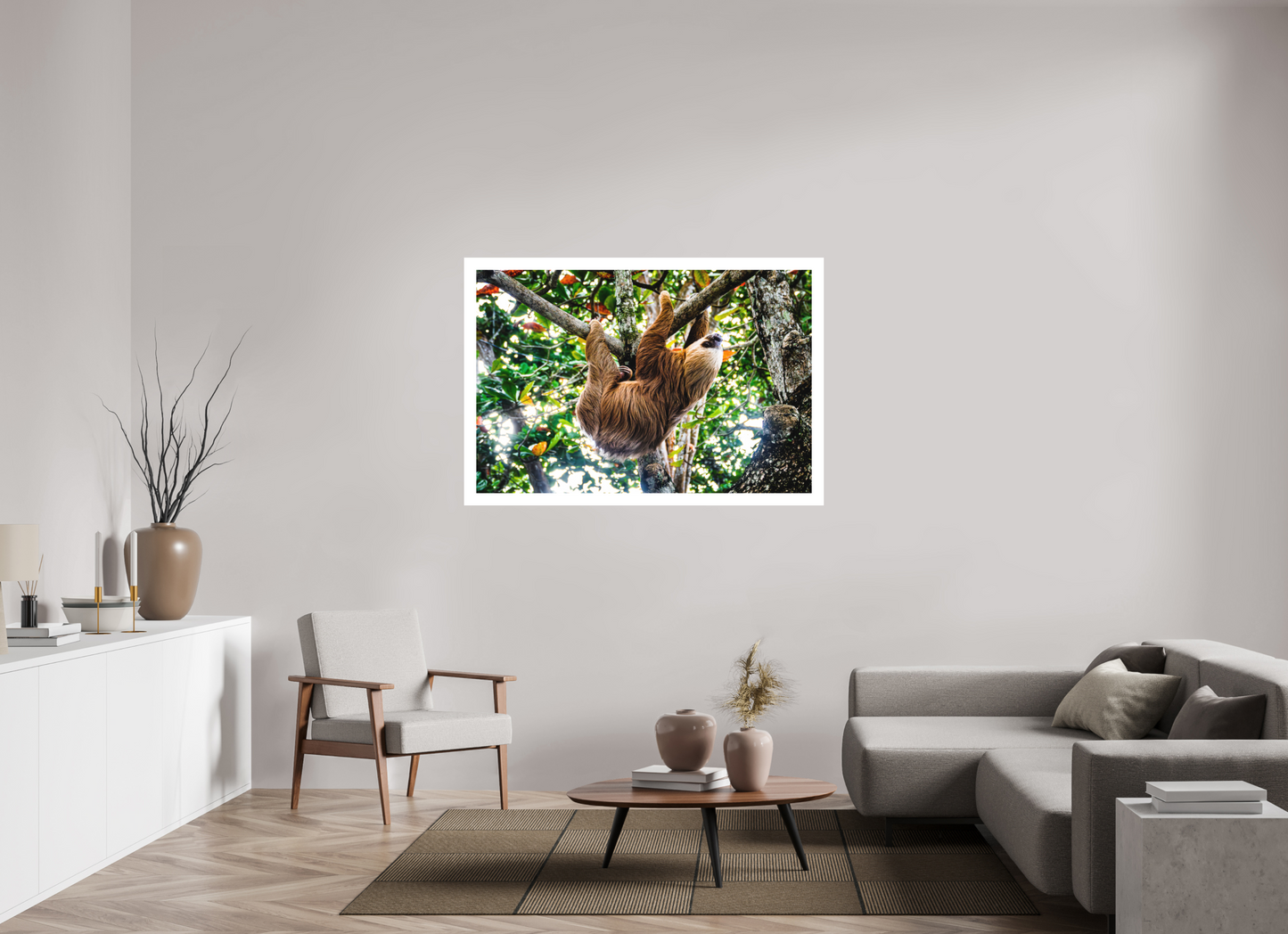 Two-Toed Sloth