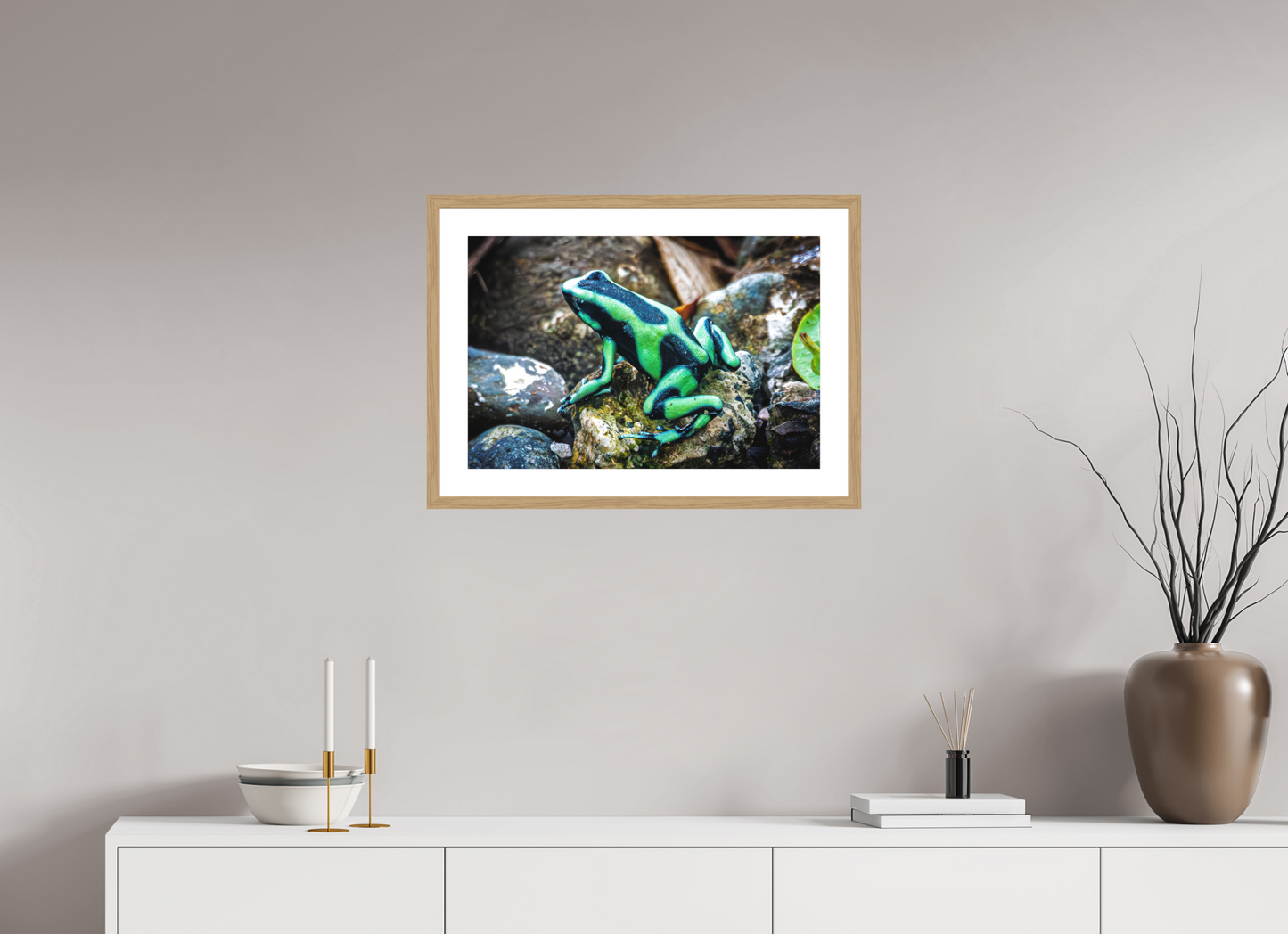 Poison Dart Frog