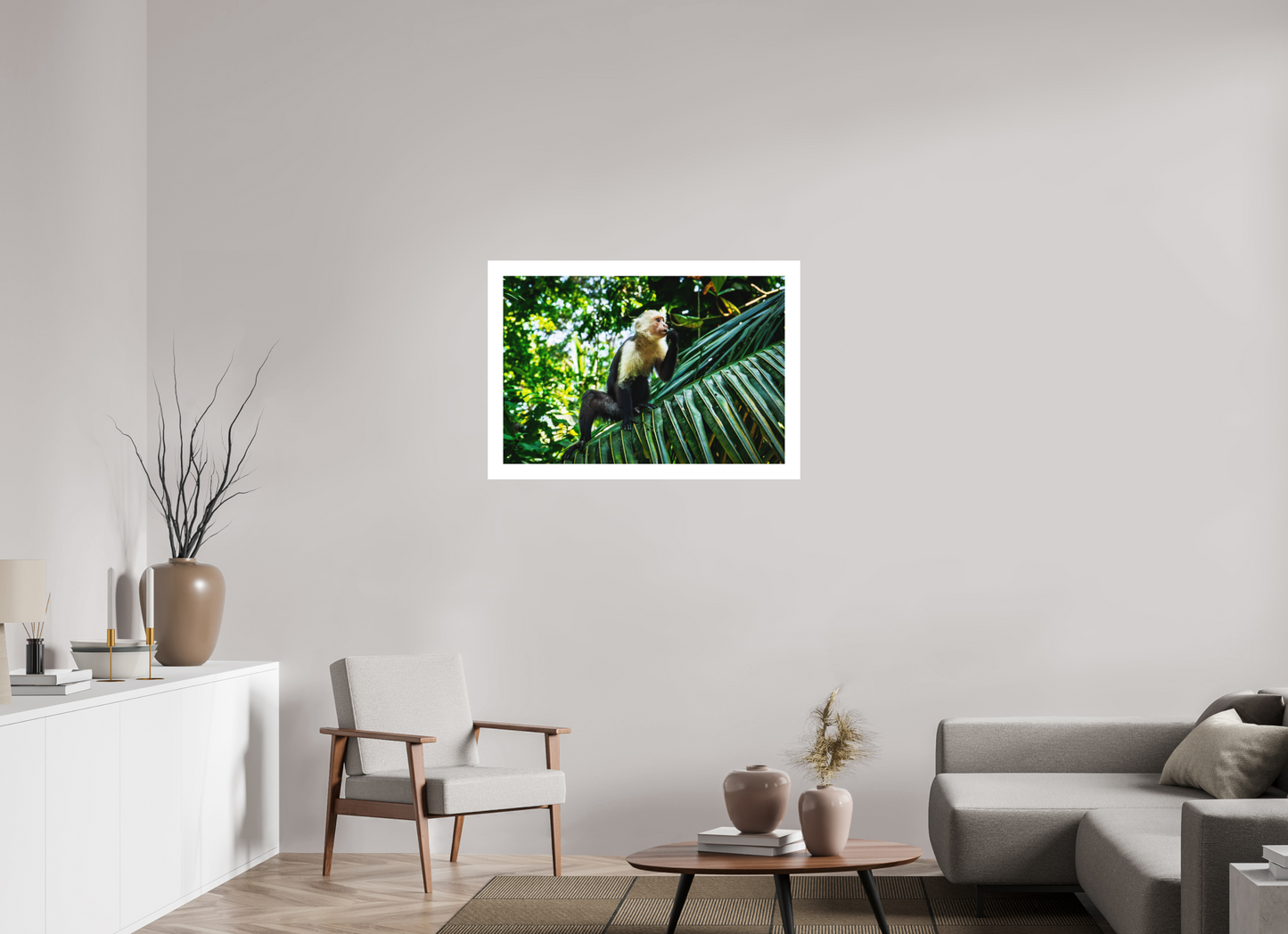 Capuchin Monkey