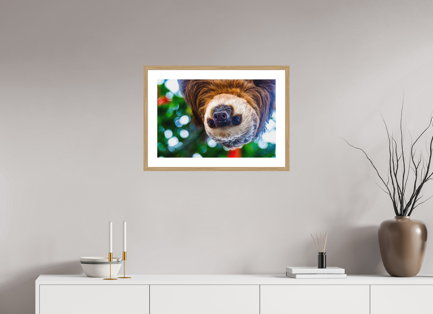Hanging Two-Toed Sloth