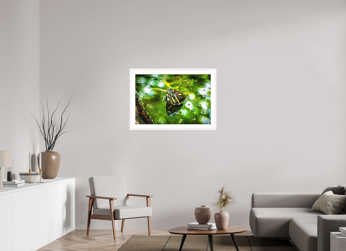 Red Eared Slider Turtle