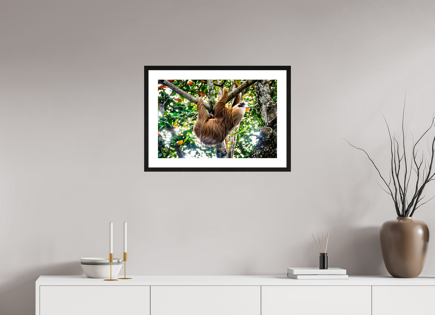Two-Toed Sloth