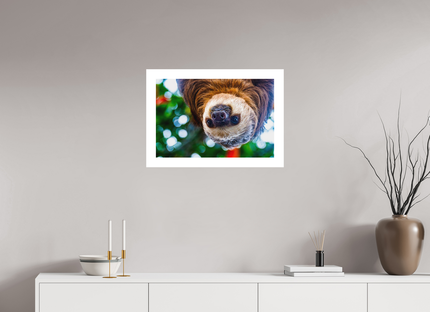 Hanging Two-Toed Sloth