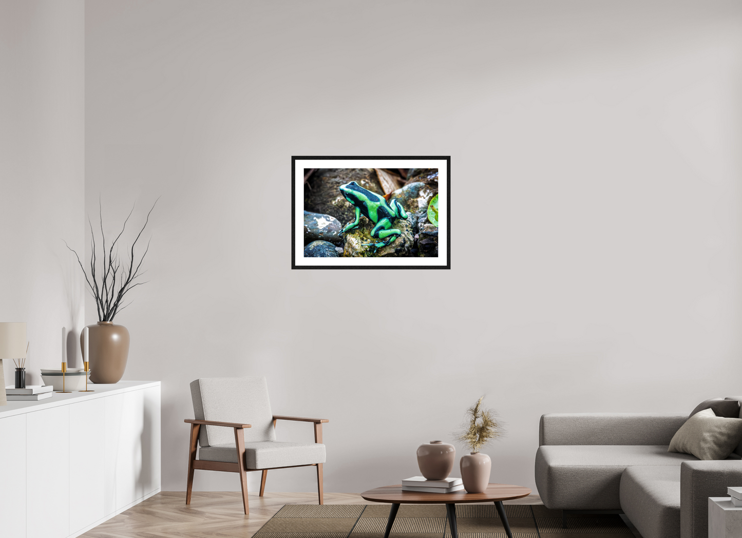 Poison Dart Frog