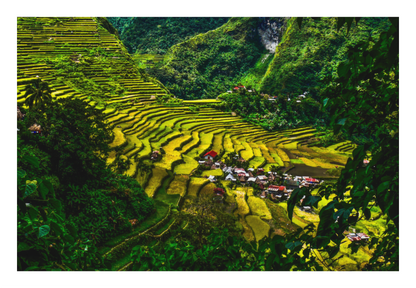 Batad Rice Terraces