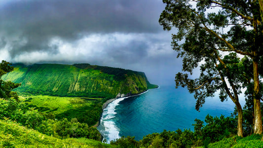 Waipio Valley Lookout  : 16x9