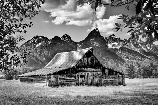 Mormon Row