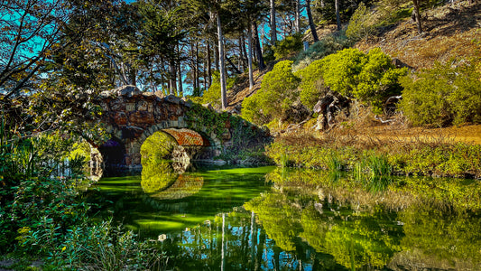 Stow Lake : 16x9